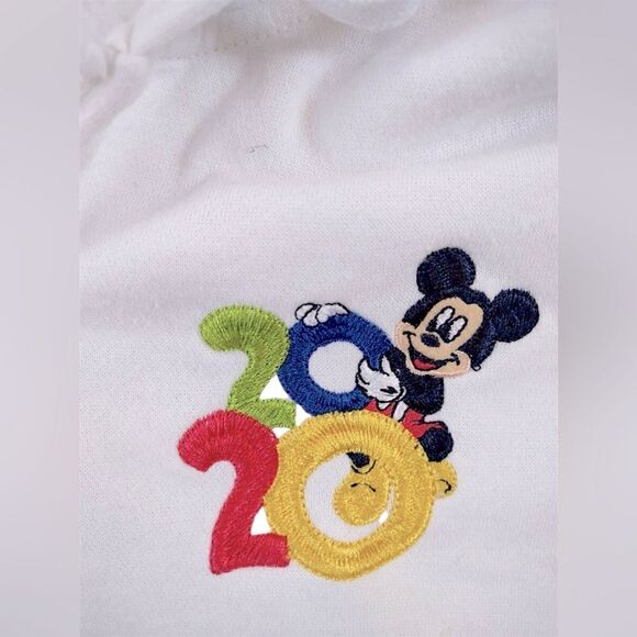 🔥🔥 DisneyParks Disneyland 2020 Hoodie Sweatshirt Jumper Zip-up jacket Size 1X - Picture 8 of 13